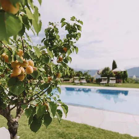 Weinberghof Farm stay