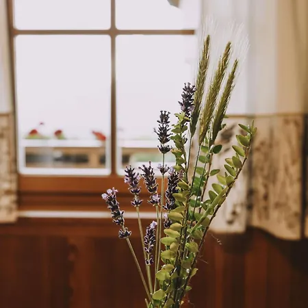 Weinberghof Farm stay *